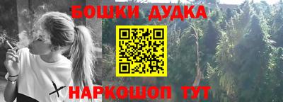 МДПВ Долгопрудный