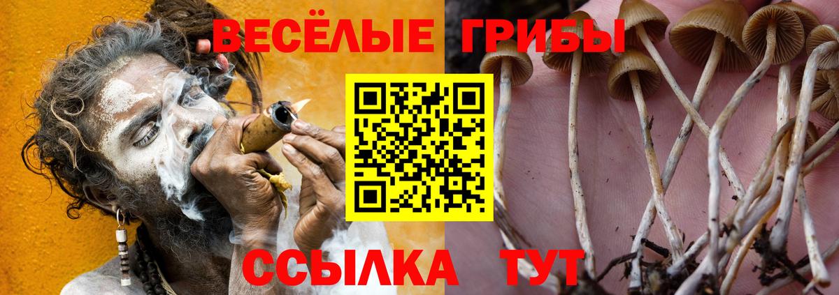 Псилоцибиновые грибы MAGIC MUSHROOMS  Вход с VPN  Грязи 